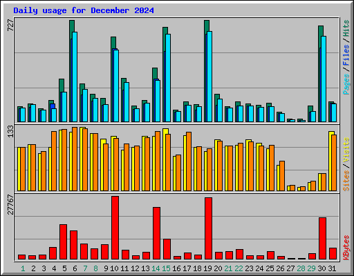 Daily usage for December 2024