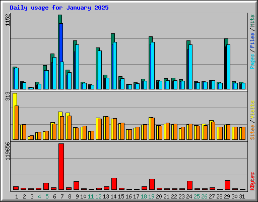 Daily usage for January 2025