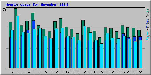 Hourly usage for November 2024