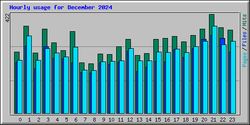 Hourly usage for December 2024
