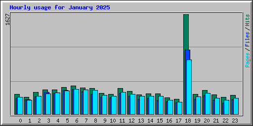 Hourly usage for January 2025
