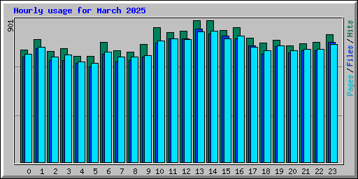 Hourly usage for March 2025