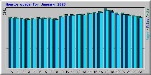 Hourly usage for January 2026